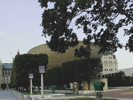 square trees and egg